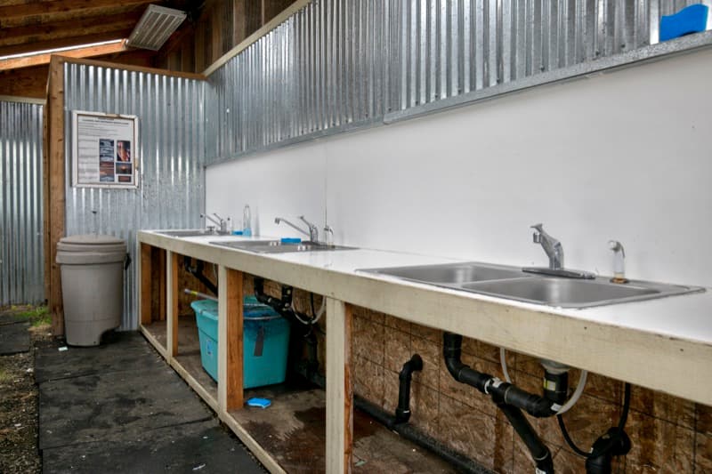 Clam cleaning station with sinks