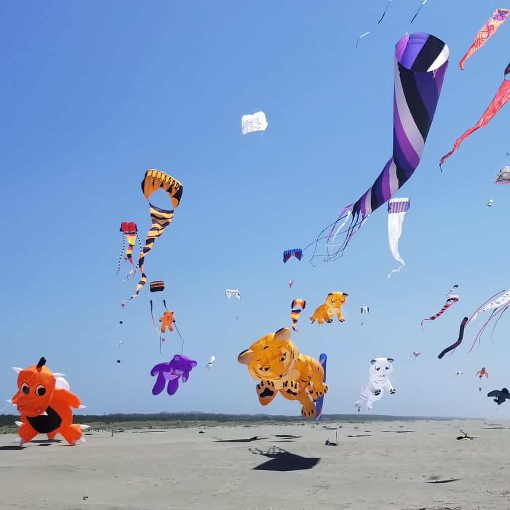 Kite Festival