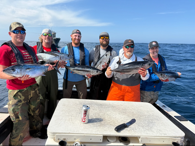 Screenshot 2026-03-04 153036