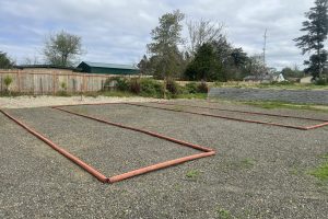 Image_20250502122639